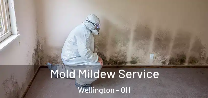Mold Mildew Service Wellington - OH
