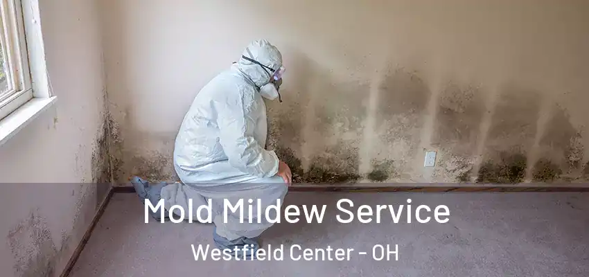 Mold Mildew Service Westfield Center - OH