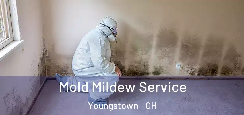 Mold Mildew Service Youngstown - OH