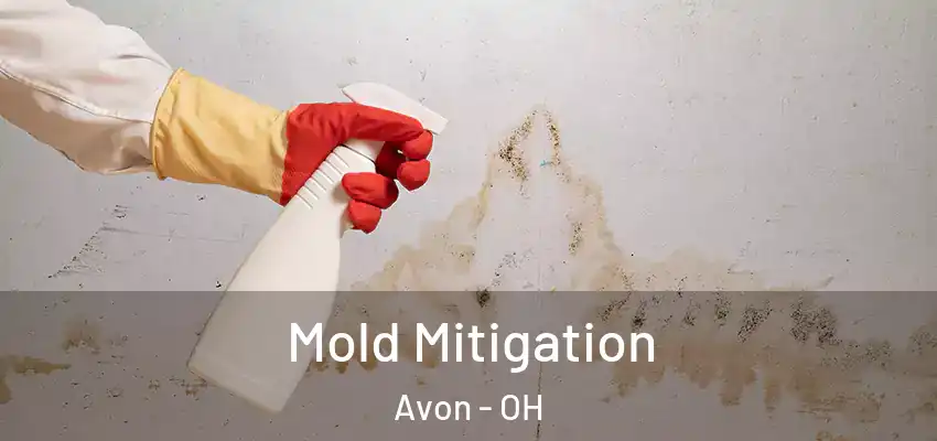 Mold Mitigation Avon - OH