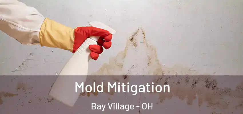  Mold Mitigation Bay Village - OH