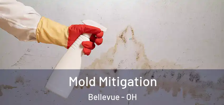 Mold Mitigation Bellevue - OH
