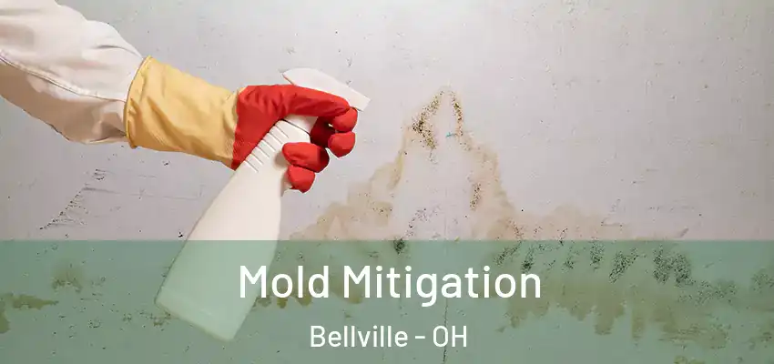  Mold Mitigation Bellville - OH