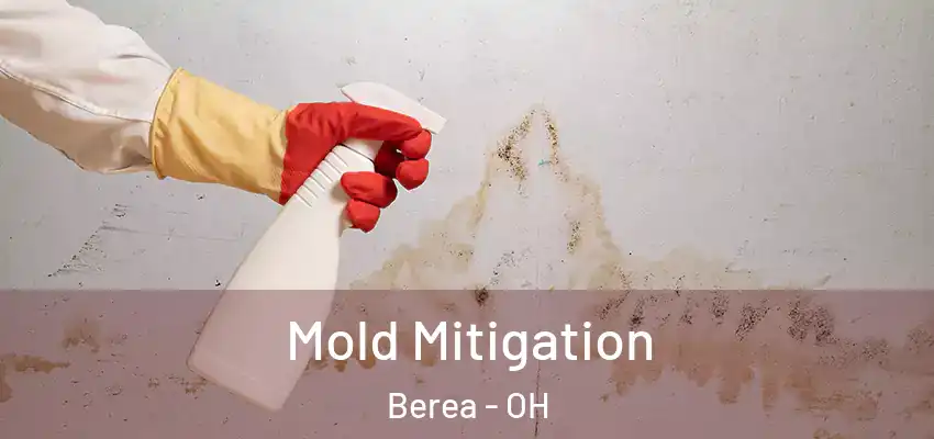 Mold Mitigation Berea - OH