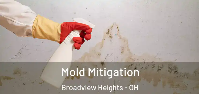 Mold Mitigation Broadview Heights - OH