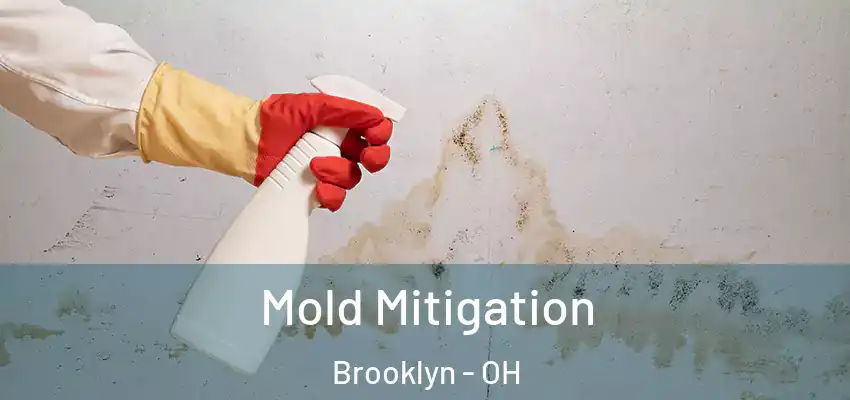 Mold Mitigation Brooklyn - OH