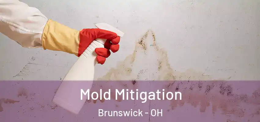 Mold Mitigation Brunswick - OH