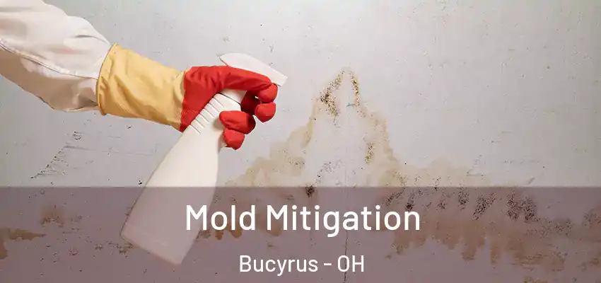  Mold Mitigation Bucyrus - OH