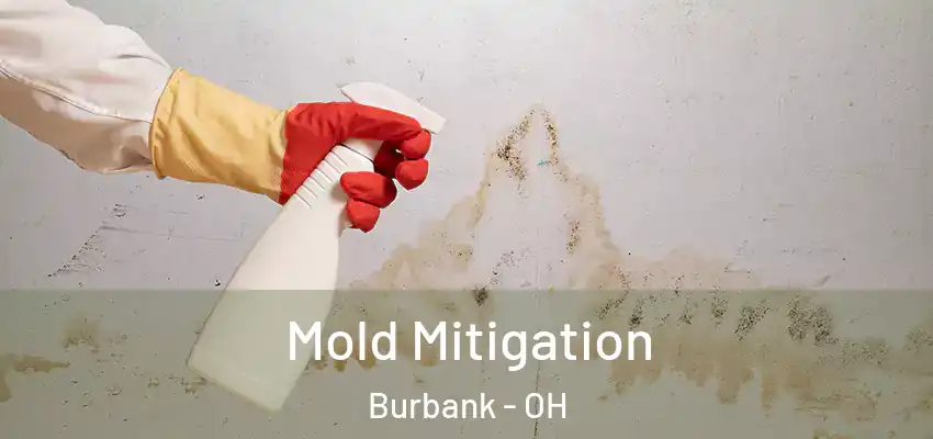 Mold Mitigation Burbank - OH