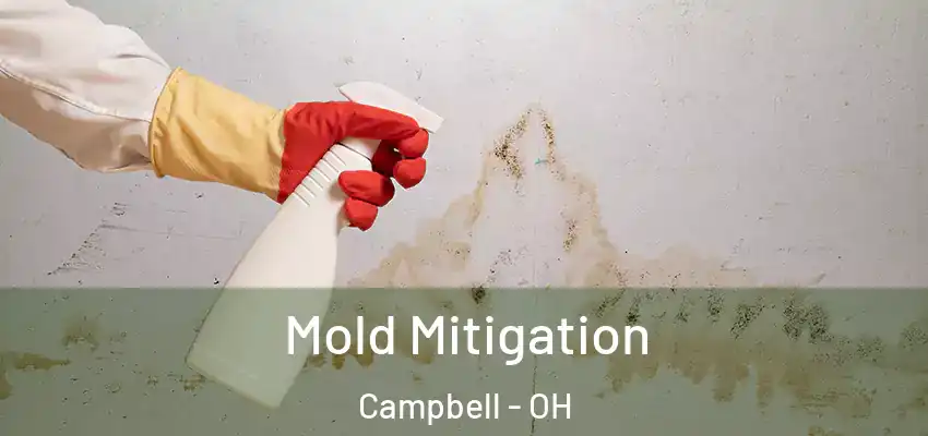 Mold Mitigation Campbell - OH