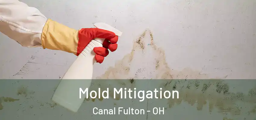  Mold Mitigation Canal Fulton - OH