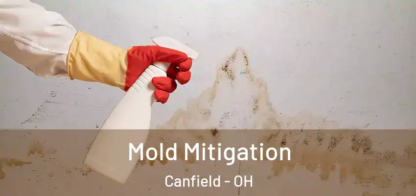 Mold Mitigation Canfield - OH