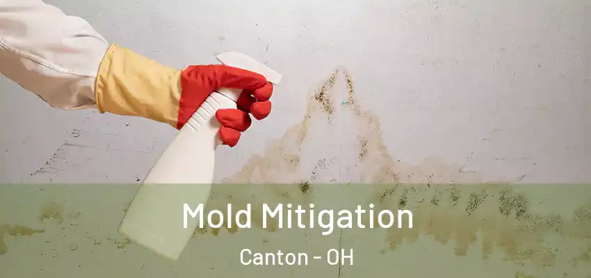 Mold Mitigation Canton - OH