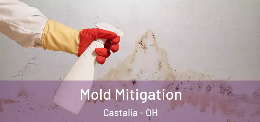  Mold Mitigation Castalia - OH