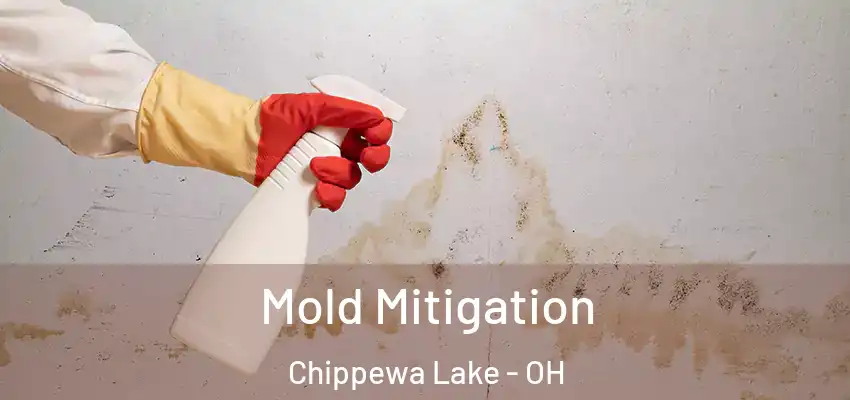 Mold Mitigation Chippewa Lake - OH