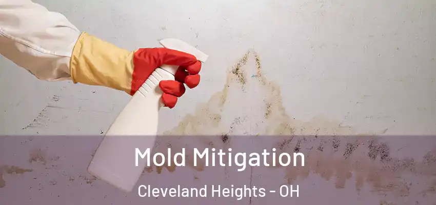  Mold Mitigation Cleveland Heights - OH