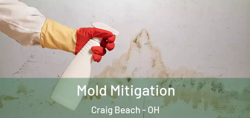  Mold Mitigation Craig Beach - OH