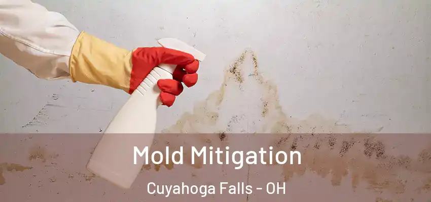 Mold Mitigation Cuyahoga Falls - OH