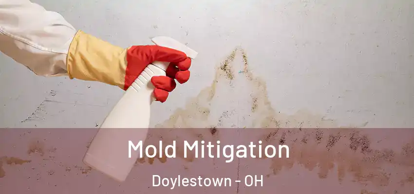  Mold Mitigation Doylestown - OH