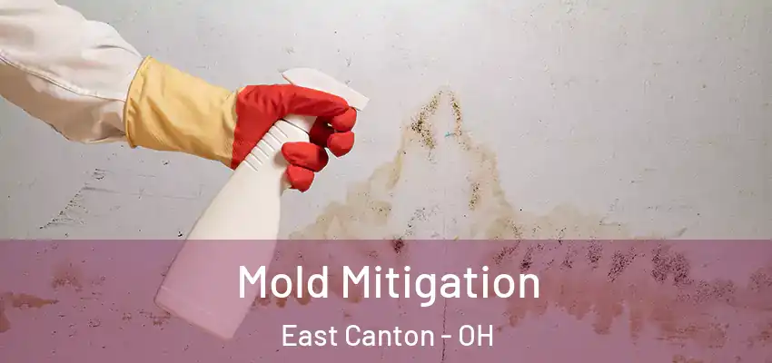  Mold Mitigation East Canton - OH