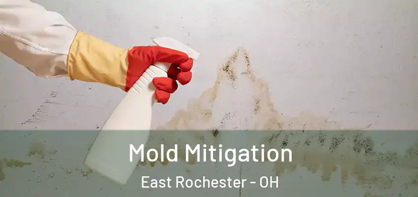 Mold Mitigation East Rochester - OH