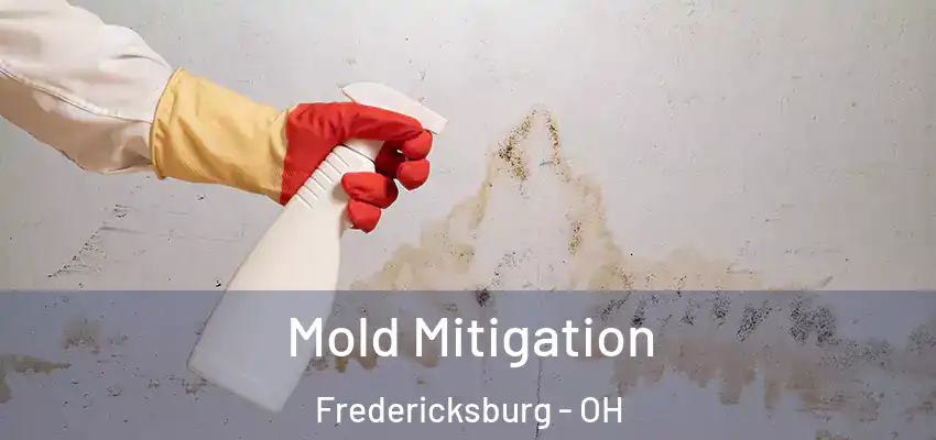  Mold Mitigation Fredericksburg - OH