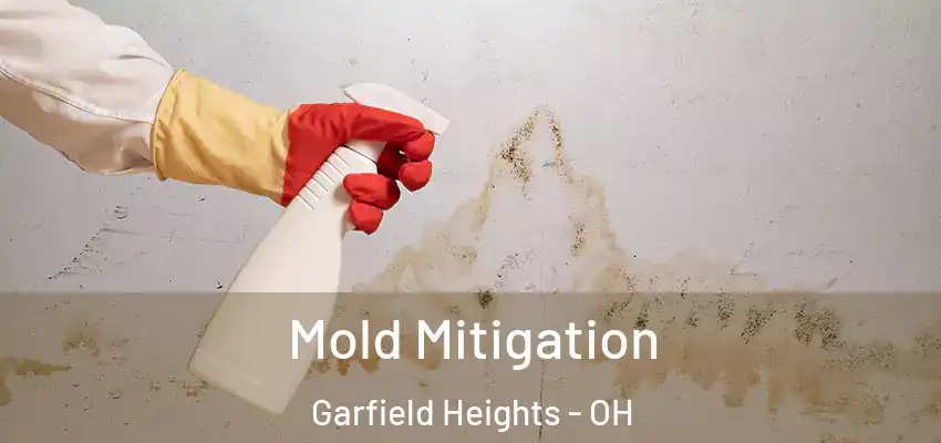Mold Mitigation Garfield Heights - OH