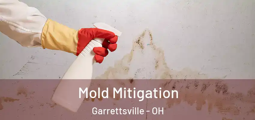 Mold Mitigation Garrettsville - OH