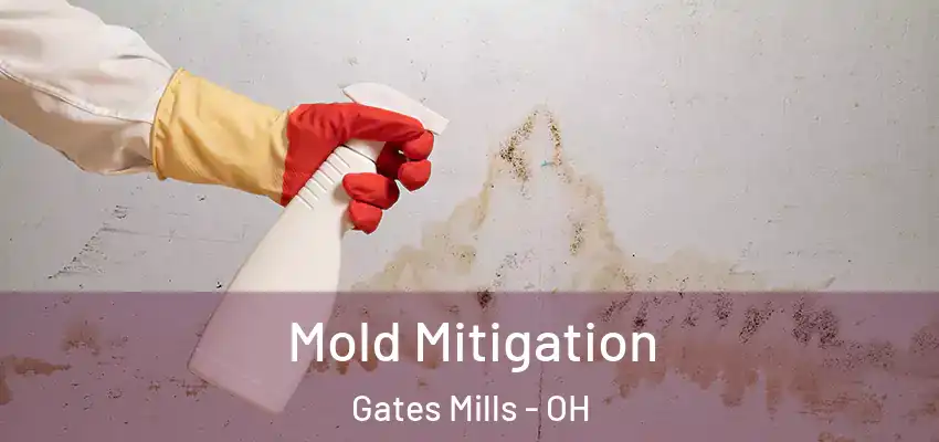  Mold Mitigation Gates Mills - OH