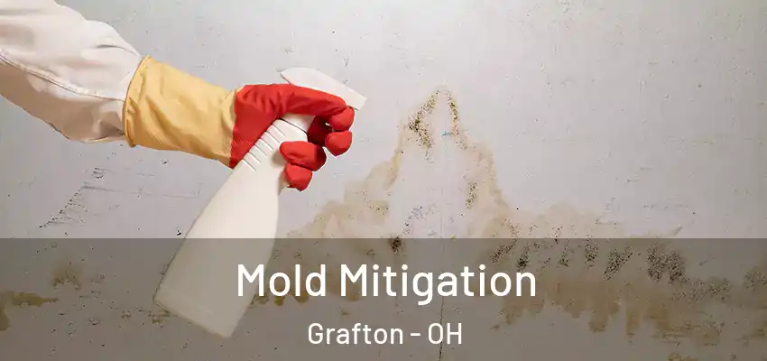  Mold Mitigation Grafton - OH