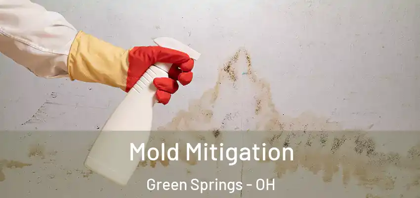 Mold Mitigation Green Springs - OH