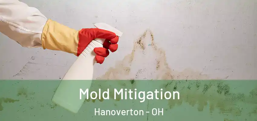  Mold Mitigation Hanoverton - OH