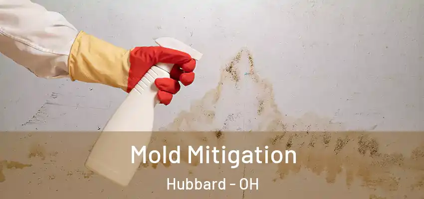  Mold Mitigation Hubbard - OH
