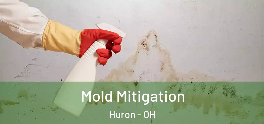 Mold Mitigation Huron - OH