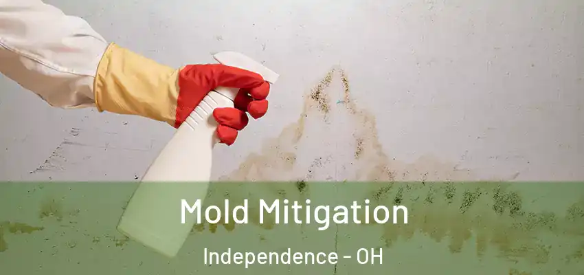 Mold Mitigation Independence - OH