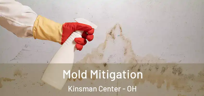 Mold Mitigation Kinsman Center - OH