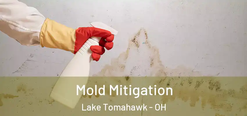  Mold Mitigation Lake Tomahawk - OH