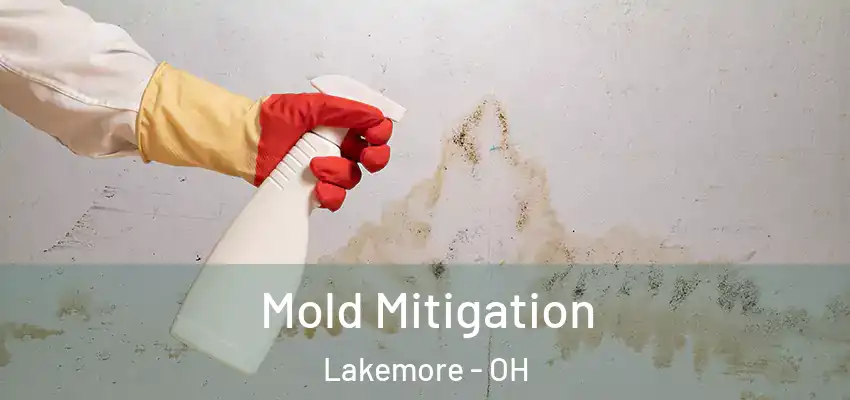 Mold Mitigation Lakemore - OH