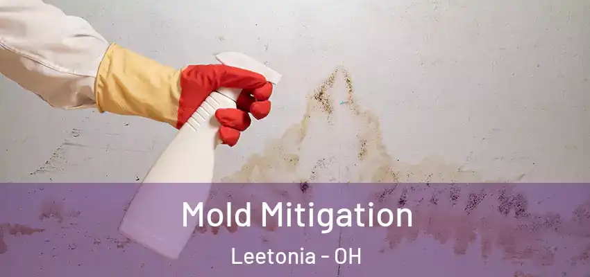  Mold Mitigation Leetonia - OH
