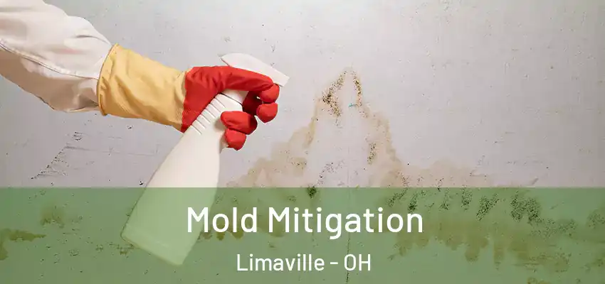  Mold Mitigation Limaville - OH