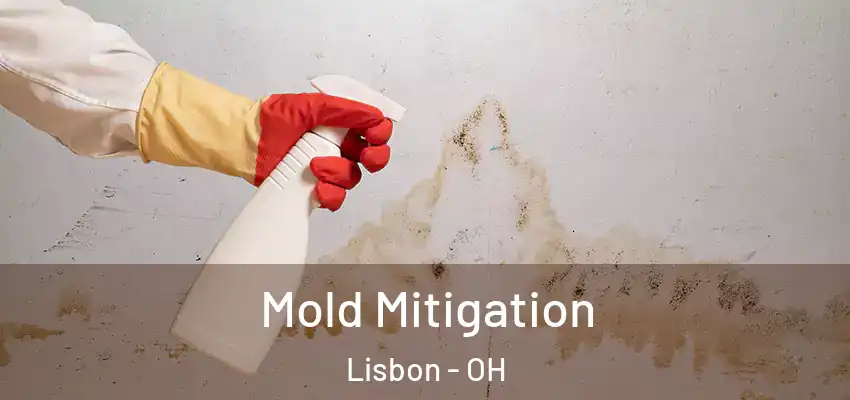 Mold Mitigation Lisbon - OH