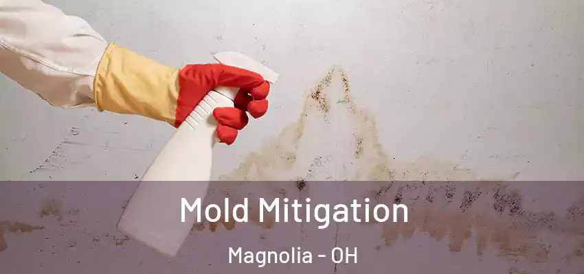  Mold Mitigation Magnolia - OH