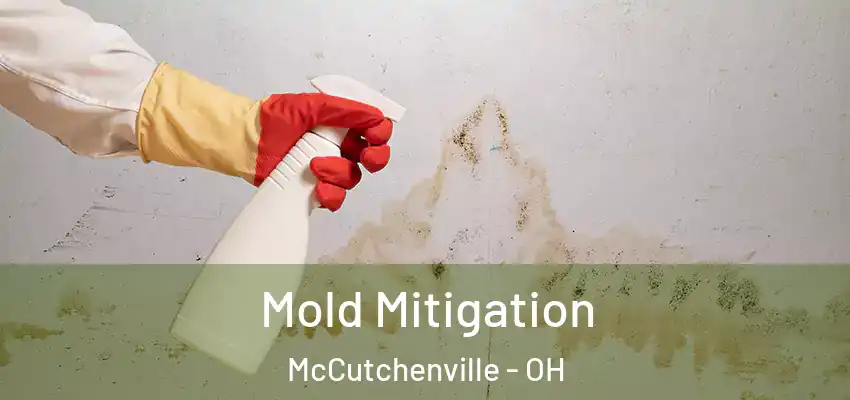  Mold Mitigation McCutchenville - OH
