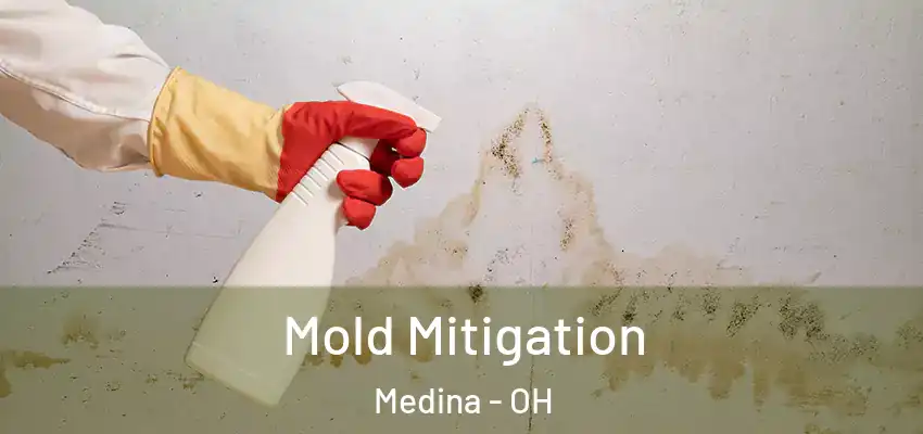  Mold Mitigation Medina - OH