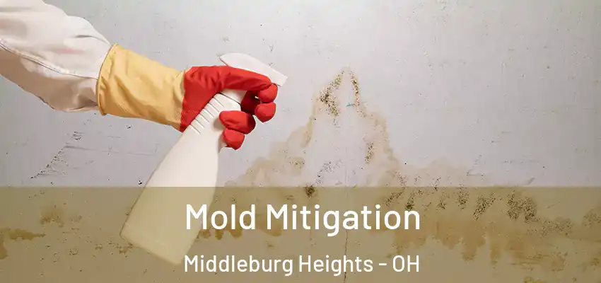 Mold Mitigation Middleburg Heights - OH