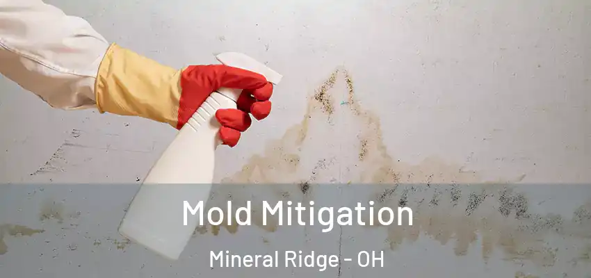 Mold Mitigation Mineral Ridge - OH