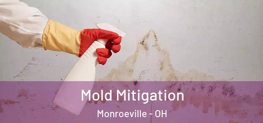  Mold Mitigation Monroeville - OH