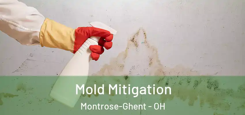 Mold Mitigation Montrose-Ghent - OH