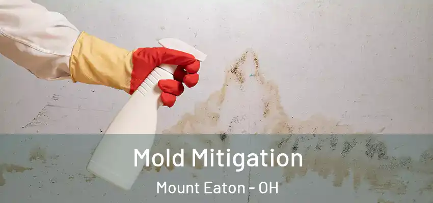  Mold Mitigation Mount Eaton - OH