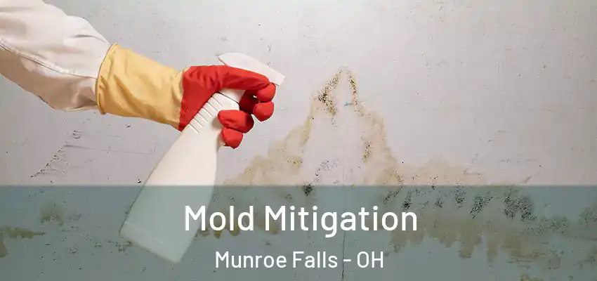  Mold Mitigation Munroe Falls - OH
